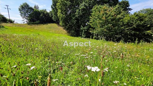 działka na sprzedaż 2249m2 działka Jankowice