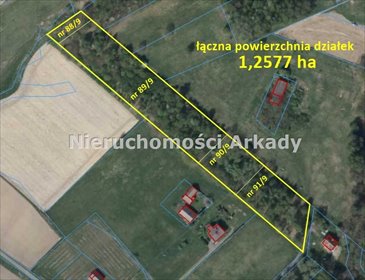 Duża działka rolna 12 577 m² z drzewami i wodą - potencjał rozwoju działka Pstrążna, Podleśna (1)