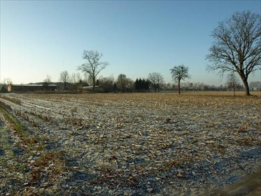 Działka budowlana na sprzedaż Liszkowice 8 000m2 Foto 4