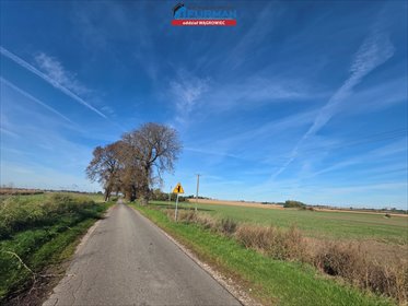 działka na sprzedaż 1249m2 działka Grylewo