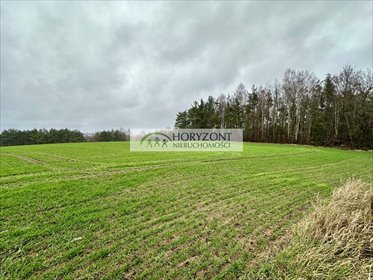 działka na sprzedaż 21957m2 działka Miszewo