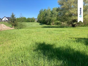 Polecam działkę 3300 m² w Krzyszkowicach z dostępem do drogi asfaltowej działka Krzyszkowice