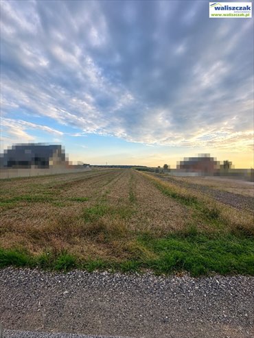 Działka rolna 9 999 m² w Krzewinach - szer. 20 m działka Krzewiny