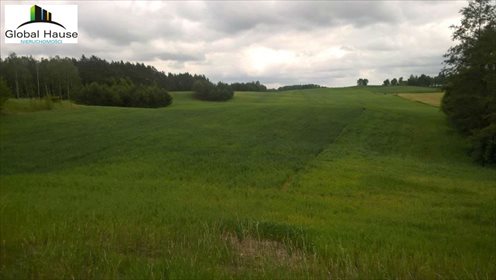 Działka rolna na sprzedaż Nowe Krzywe 3 080m2 Foto 3
