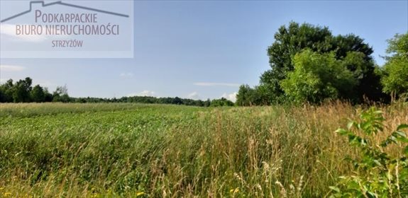 Działka budowlana na sprzedaż Glinik Górny 3 200m2 Foto 4