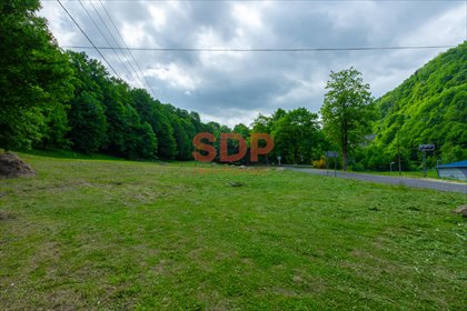 Działka w Zagórzu Śląskim z widokami i dostępem do jeziora działka Zagórze Śląskie, Wodna