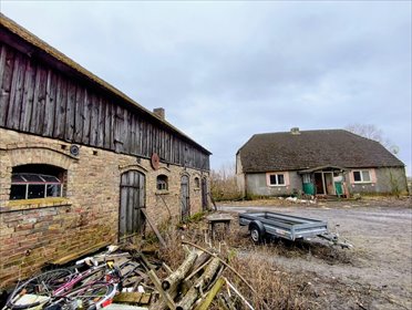 działka na sprzedaż 11500m2 działka Studzionka