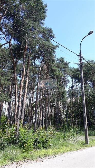 działka na sprzedaż 2000m2 działka Warszawa, Wawer, Międzylesie, Mrówcza