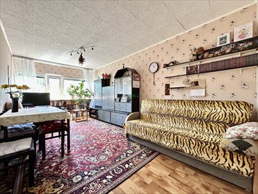 Do sprzedania funkcjonalne 45 m² z południową ekspozycją mieszkanie Łódź, Teofilów, Woronicza