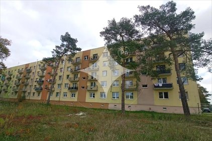 mieszkanie na sprzedaż 32m2 mieszkanie Świętoszów, Husarska