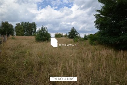 Działka budowlana na sprzedaż Łopuchowo, Podgrzybkowa 1 538m2 Foto 3