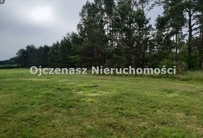 działka na sprzedaż 8000m2 działka Chojnice