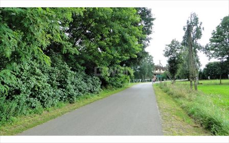 Działka budowlana na sprzedaż Napoleonów, Napoleonów 921m2 Foto 4