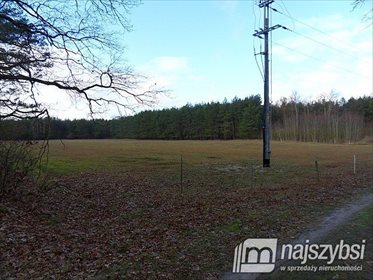 Działka rolna na sprzedaż Ininka, Centrum 39 143m2 Foto 3