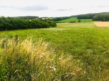 Działka budowlana na sprzedaż Siodłkowice 2 640m2 Foto 1