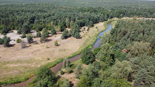 Działka letniskowa 800 m2 z drzewami, media, Wola Chodkowska działka Wola Chodkowska
