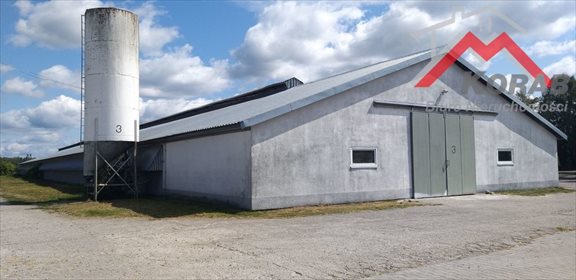 Magazyn na sprzedaż Samborowo 7 900m2 Foto 2