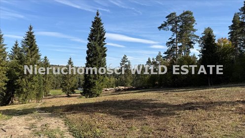 Sprzedam działkę budowlaną 2728 m² w Berezce, Bieszczady działka Solina, Berezka
