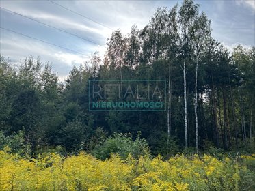 działka na sprzedaż 3000m2 działka Radziejowice