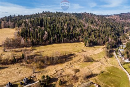 działka na sprzedaż 12272m2 działka Łopuszna, Zarębek Niżni