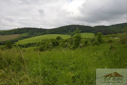 działka na sprzedaż 10540m2 działka Wapowce