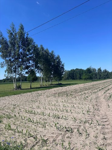 Sprzedam działki budowlane 3000 m² w Nowych Paskach działka Nowe Paski