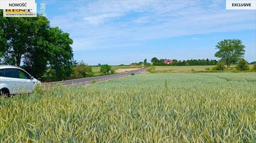 Działka 3000 m² z WZ, prąd, asfalt, blisko natury działka Bielice