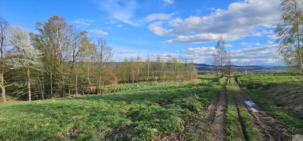 działka na sprzedaż 1944m2 działka Gilowice