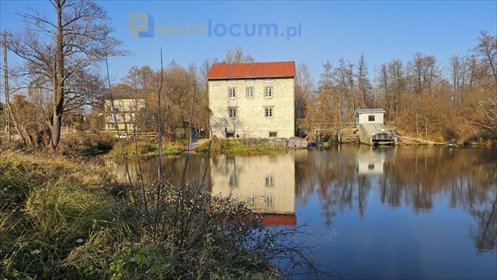 lokal użytkowy na sprzedaż 290m2 lokal użytkowy Bieleckie Młyny, Młyn, Bieleckie Młyny