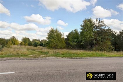 Przestronna działka 4219 m² z możliwością zabudowy zagrodowej polecam! działka Złotniki