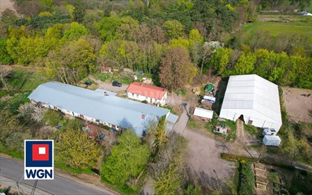 Agroturystyka z potencjałem w Szamocinie – 1675 m2, 80 m2 dom lokal użytkowy Szamocin, Szamocin, Polna