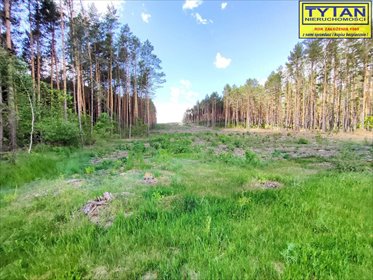 Duża działka rolna 4,85 ha z dojazdem asfaltowym działka Zaręby-Jartuzy