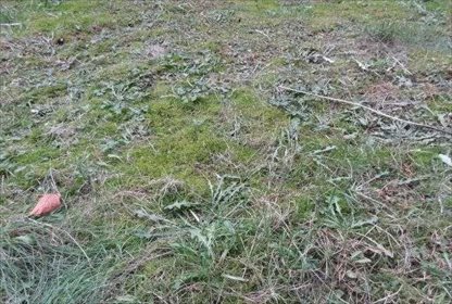 Działka inna na sprzedaż Bóbrka 1 400m2 Foto 1