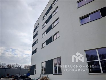 Nowoczesny magazyn 400 m² z rampami i wysoką halą magazyn Rzeszów