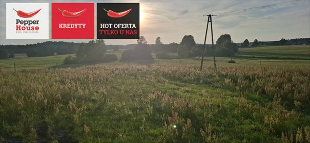 działka na sprzedaż 2411m2 działka Lińsk