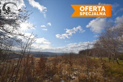 działka na sprzedaż 6100m2 działka Mietniów