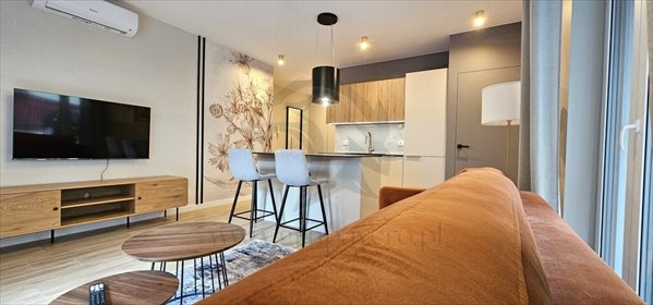mieszkanie na wynajem 40m2 mieszkanie Łódź, Polesie
