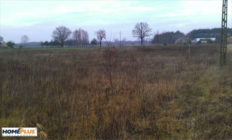 działka na sprzedaż 1500m2 działka Borki