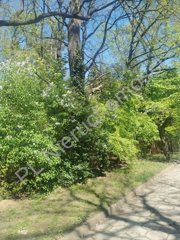 działka na sprzedaż 2500m2 działka Milanówek