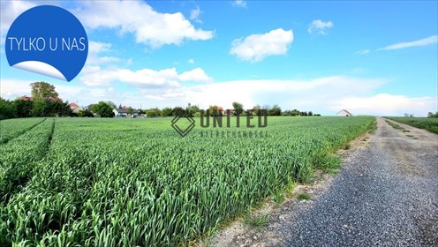 Działka 3559 m² w cichej okolicy (media w zasięgu) działka Dębice