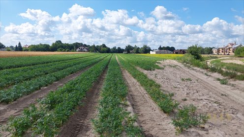 działka na sprzedaż 9113m2 działka Zakroczym, Warszawska