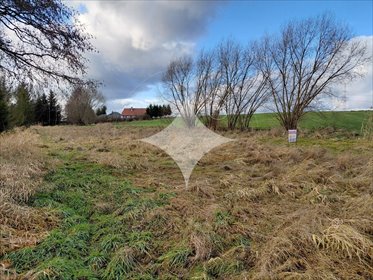 działka na sprzedaż 2000m2 działka Warta Bolesławiecka