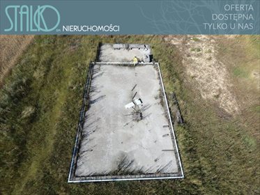 Działka budowlana na sprzedaż Wysin, Piaskowa 13 052m2 Foto 3