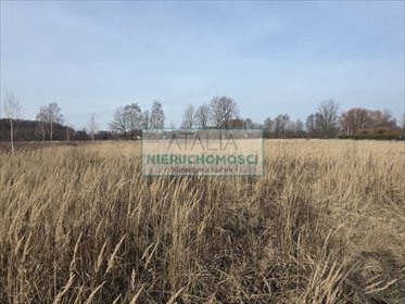 Działka 1050 m² w Milanówku - polecam działka Milanówek