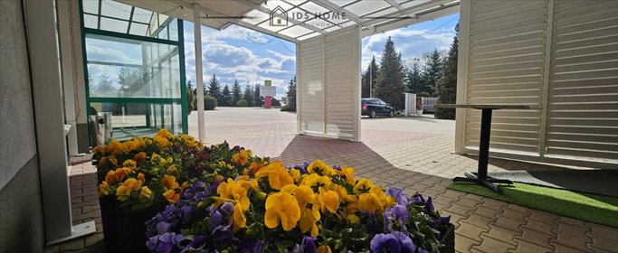 lokal użytkowy na wynajem 1100m2 lokal użytkowy Niemce