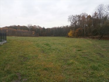 Działka budowlana na sprzedaż Piątkowiec 11 400m2 Foto 2