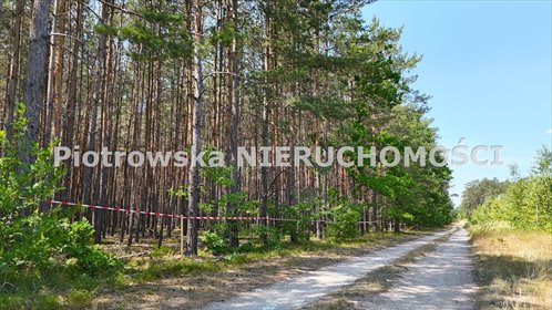 Urokliwa działka 3025 m² w Miedźnie – cisza i natura działka Warta, Miedźno