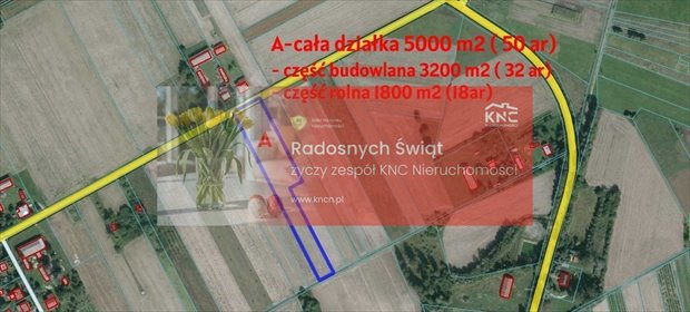 działka na sprzedaż 5000m2 działka Brzostówka