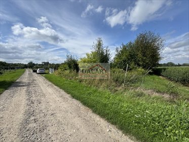 Do sprzedania działka rolna 0,46ha pod skarpą w Czersku działka Czersk, Pólko