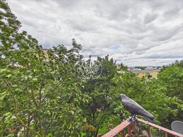Kawalerka 29,25 m² z widokiem (Kapuściska) mieszkanie Bydgoszcz, Kapuściska